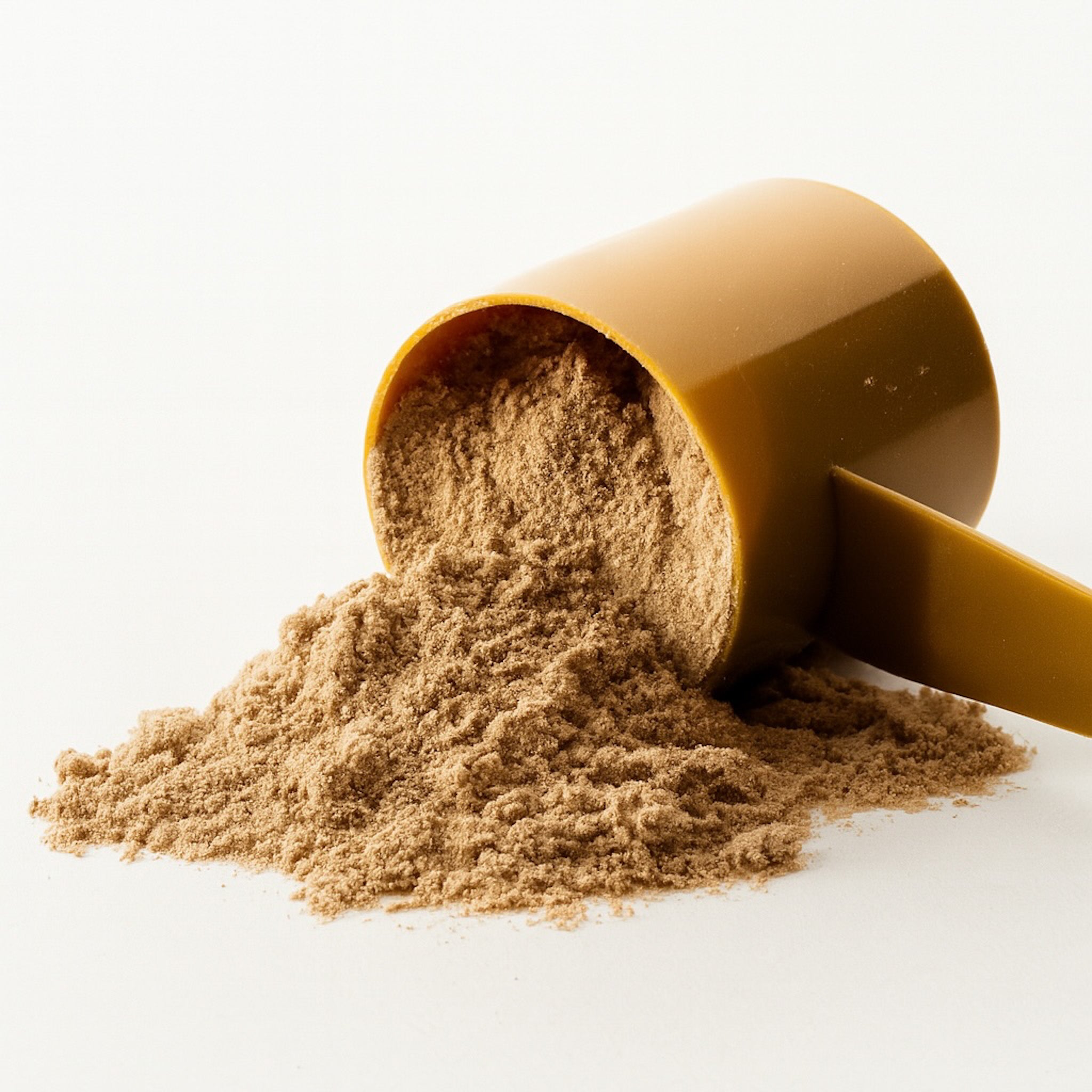 Chocolate Thunder – L-manX Premium Performance Protein